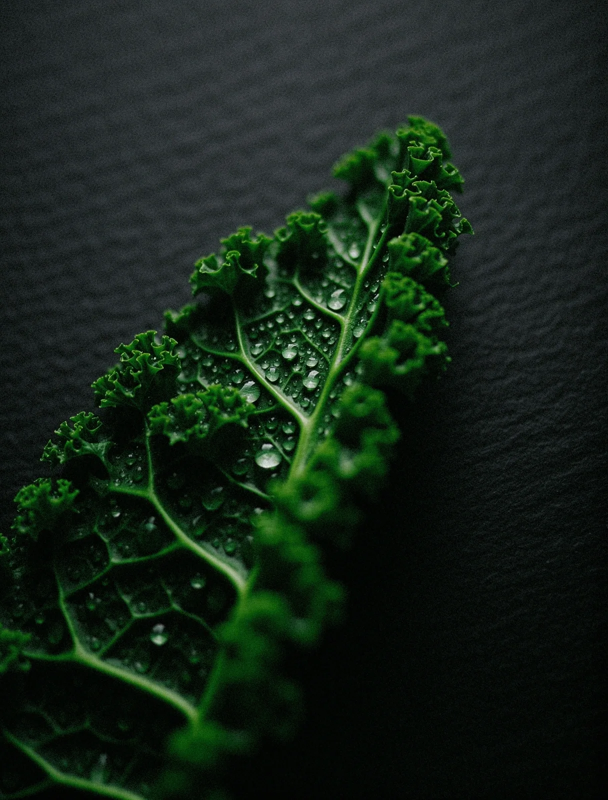 Botanical precision in nutrition